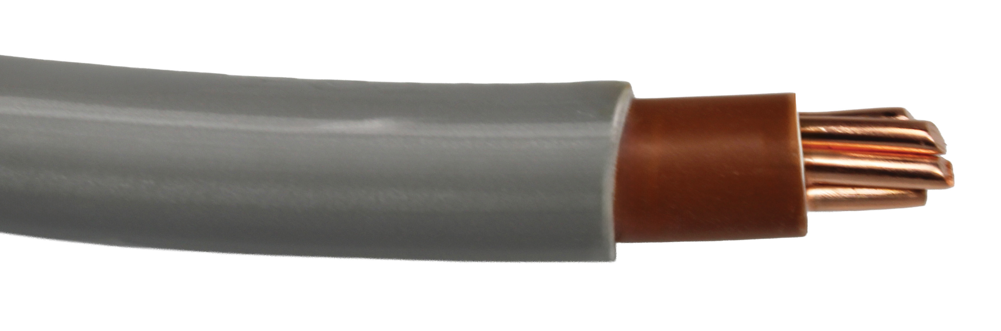 3m x 25mm Brown